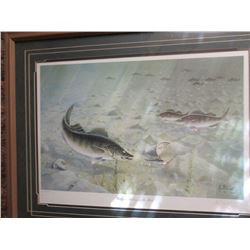 Les Kouba Framed &quot;Wallye - Feeding on the Flats&quot;