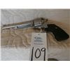 Image 1 : Ruger Super Blackhawk .44 Rem. Mag. Stainless