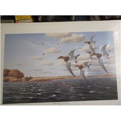 John House Unframed "Bankin Hard Canvasbacks" numb
