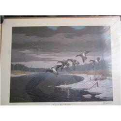 Les Kouba Unframed "Cans in Bush Country"