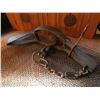 Image 2 : Vintage Hudson Bay Kodiak Bear Trap,