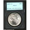 Image 1 : 1883-O $1 MS63 PCGS. The mintmark appears to be lightly repunched within the loop. Generally bril...