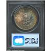 Image 2 : 1884 $1 MS64 PCGS....