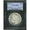 Image 3 : 1891-CC $1 MS65 PCGS....