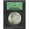 Image 1 : 1921-D $1 MS66 PCGS. Wisps of tan patina embrace the devices of this reasonably struck Gem. The r...