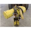 Image 2 : 1/2 Ton Budgit Hoist