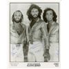 Image 1 : The Bee Gees