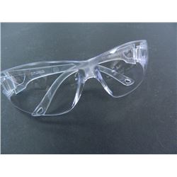 Radnor Safety Glasses, Unused, part #64051205