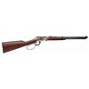 Image 1 : *NEW* HENRY REPEATING ARMS MONUMENT VALLEY LTD EDITION 22 LR 20" 15RD 619835011107