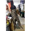 Image 1 : CHEST WADERS = CAMO - NEOPREEN - SZ MEDIUM