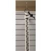 Image 2 : G White Belt 1-34