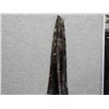 Image 2 : SCARF - SILK? - DARK & LIGHT BROWN - NEW