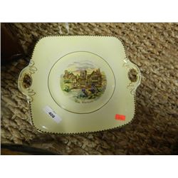 COLLECTOR DISH