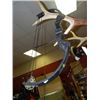 Image 3 : BARNETT COMPOUND BOW