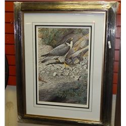 FRAMED LIMITED EDITION PRINT - REUGRINE FALCON - TERRANCE J BOND - GALLERY ESTIMATE - $675 **** ARTI