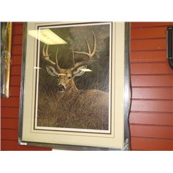 FRAMED LIMITED EDITION PRINT - PEACEFUL - WHITE TAILED DEER - JORGE MAYOL -GALLERY ESTIMATE - $625