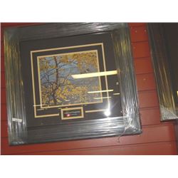 FRAMED PRINT - ASPEN AND KING FISHER - ROBERT BATEMAN - GALLERY ESTIMATE - $375