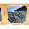 Image 1 : PEBBLED BEACH CERAMIC TILE - NEW - all