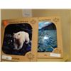 Image 2 : PEBBLED BEACH CERAMIC TILE - NEW - all