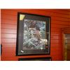 Image 1 : FRAMED PRINT - LION