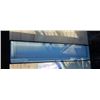 302M