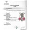 Image 3 : 23.42ctw Ruby and Diamond Earrings - 14KT Yellow Gold