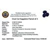 Image 2 : 17.67ctw Oval Cut Sapphire Parcel