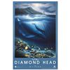 Image 1 : Diamond Head by Wyland