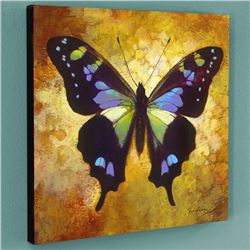 Pandora by Simon Bull