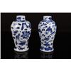 Image 1 : [CHINESE]A PAIR OF "KANG XI NIAN ZHI"MARKED BLUE AND WHITE PORCELAIN VASE PAITNED WITH FLOWERS AND B