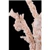 Image 2 : [CHINESE]A LATE 19TH CENTURY WHITE CORAL STATUES OF A LADY WITH FLOWER (250g WITH STAND)W:5" H:9"