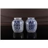 Image 1 : [CHINESE]A PAIR OF EARLY 20TH CENTURY BLUE AND WHITE PORCELAIN JAR WITH FIGURES OF WATERWEED AND CHI