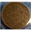 Image 6 : 1 cent 1894 EF-45 & 1 cent 1895 EF-45. lot of 2 coins.