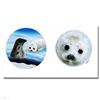 Image 1 : Save the Seals by Wyland