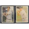 Image 2 : 1957 TOPPS BOSTON RED SOX TEAM LOT (23 CARDS) TED WILLIAMS