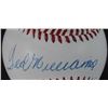 Image 2 : TED WILLIAMS AUTOGRAPHED BASEBALL - JSA STICKER on BALL - VERIFIED