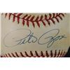 Image 2 : PETE ROSE AUTOGRAPHED BASEBALL, COA by MADISON SPORTS