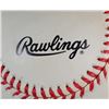 Image 7 : 2 - AUTOGRAPHED HOF BASEBALLS - BROOKS ROBINSON & TONY PEREZ - NO COA
