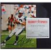 Image 8 : 6 - NFL AUTOGRAPHED PHOTOS, DAN MARINO (NO COA), KERRY COLLINS, PETE CARROLL,