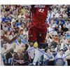 Image 2 : 5 - NBA AUTOGRAPH PHOTOS, JAMES POSEY, KURT THOMAS, TONI KUKOC, RON HARPER,