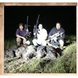 Night Vision Texas Hog Hunt for 4 hunters with Warhawgs
