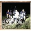 Image 1 : Night Vision Texas Hog Hunt for 4 hunters with Warhawgs