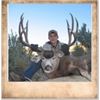 Image 1 : Utah State Conservation Tag #26 Any Weapon Buck Deer, Book Any Weapon Buck Deer, Book