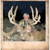 Image 1 : Utah State Conservation Tag #48 Any Weapon Buck Deer, Paunsaugunt Unit.
