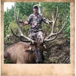 Utah State Conservation Tag #168 Any Weaponfor Bull Elk, Wasatch Mountain Unit.