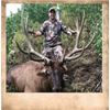 Image 1 : Utah State Conservation Tag #168 Any Weaponfor Bull Elk, Wasatch Mountain Unit.