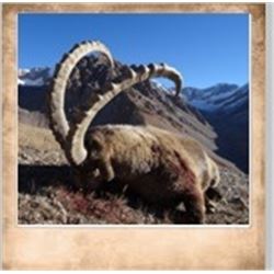 1 Hunter for Mid-Asian Ibex in Kyrgyzstan with Asian Mountain Outfitters.