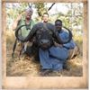 Image 1 : 1 Hunter for Cape Buffalo in Tanzania with Safari Unlimited.