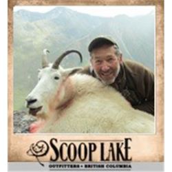 1 Hunter 8 Days for Canadian Moose or Mountain Goat with Scoop Lake Outfitters.