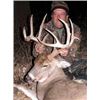 Image 2 : Nebraska Hunter’s Choice - Mule Deer or Whitetail - 4-day Hunt